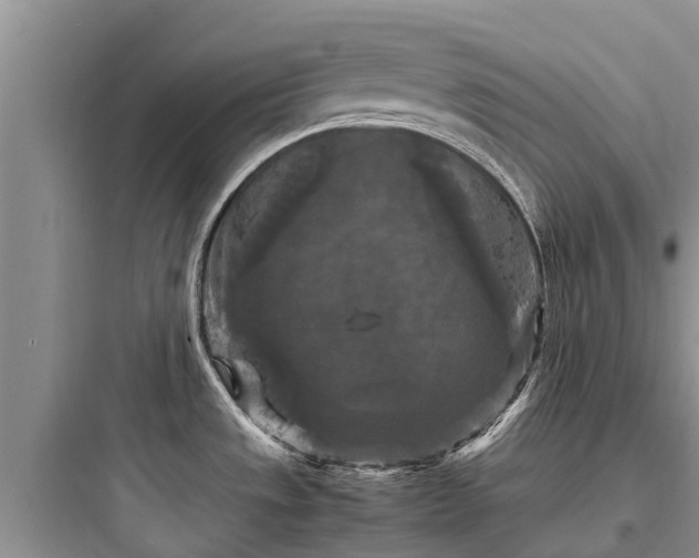 X0000097921533200803211516
