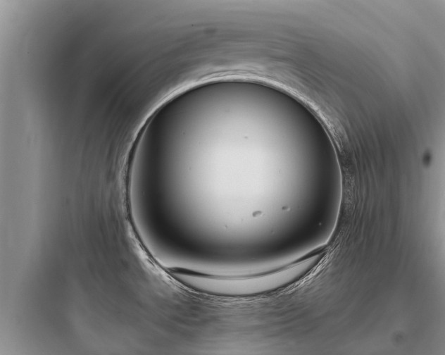 X0000097921534200803211516
