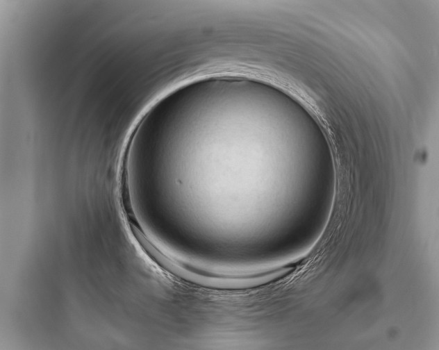 X0000097921536200803211516