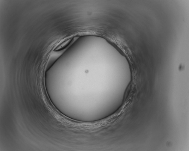 X0000097920001200803281437