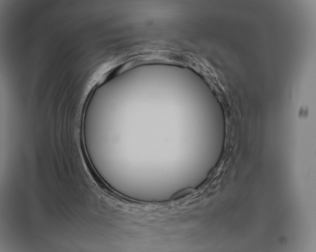 X0000097920003200803281437