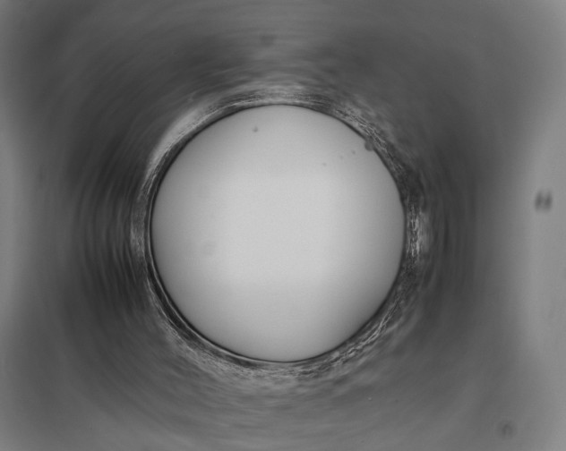 X0000097920004200803281436