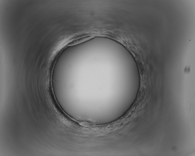 X0000097920005200803281436