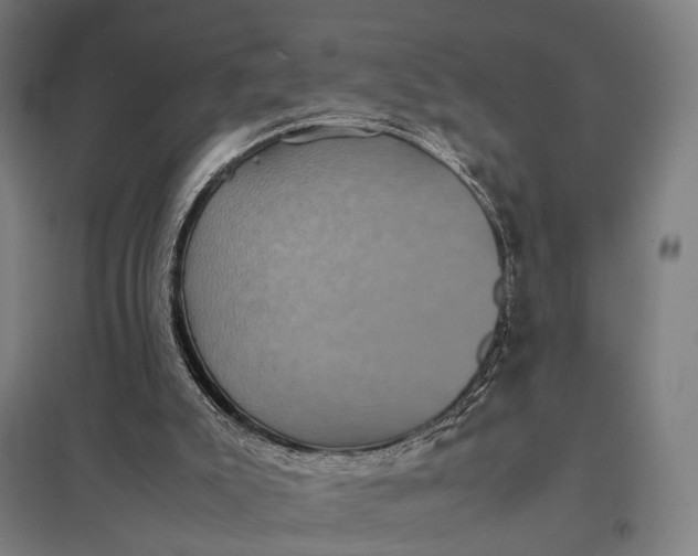 X0000097920007200803281436