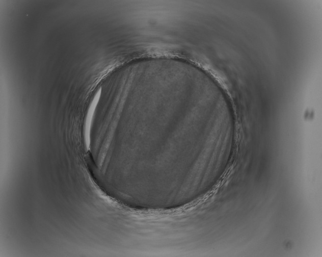 X0000097920009200803281436