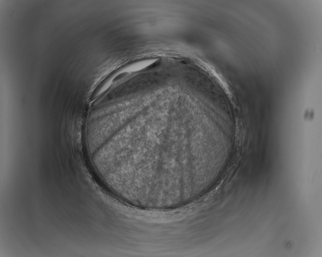 X0000097920010200803281436