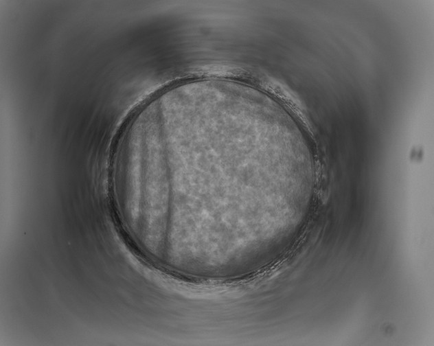 X0000097920012200803281436