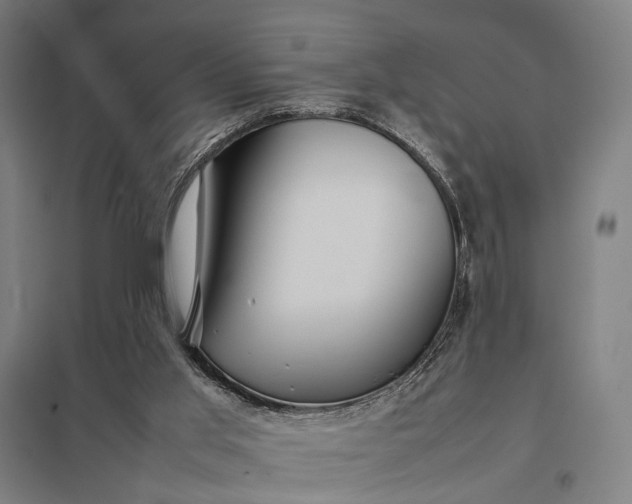 X0000097920013200803281436