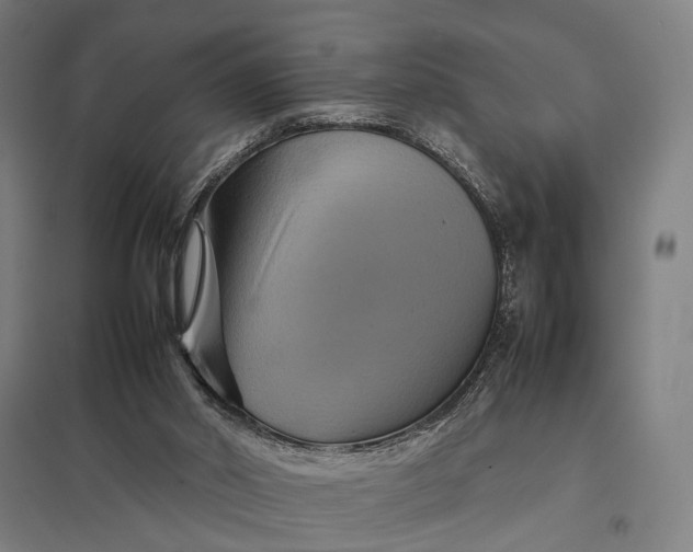 X0000097920014200803281436