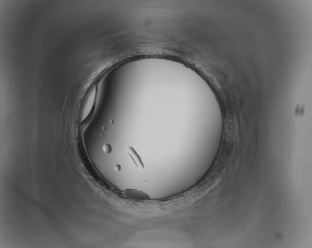 X0000097920015200803281436