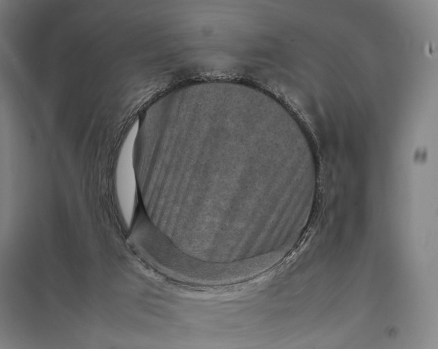 X0000097920017200803281436