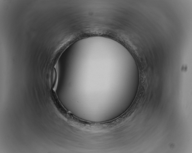 X0000097920020200803281436