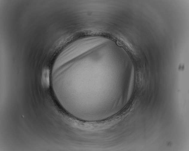 X0000097920022200803281436