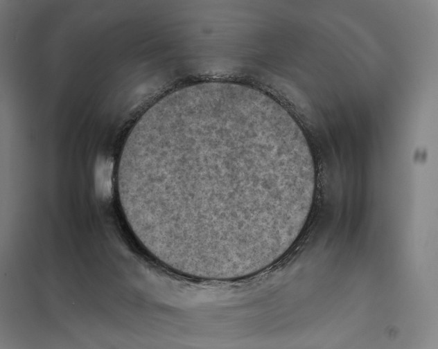 X0000097920024200803281436