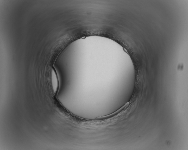 X0000097920025200803281436