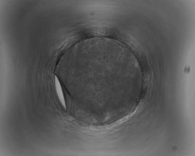 X0000097920029200803281436