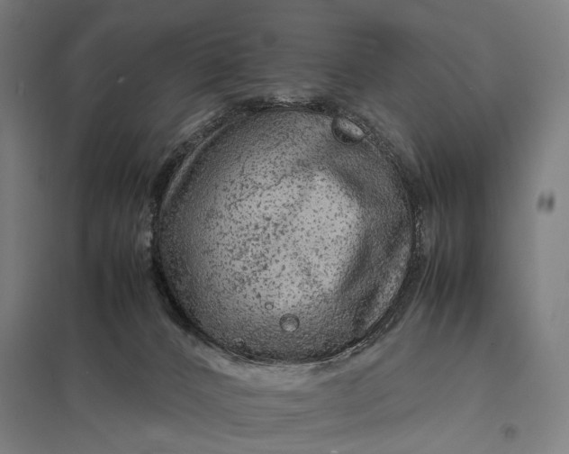 X0000097920032200803281436