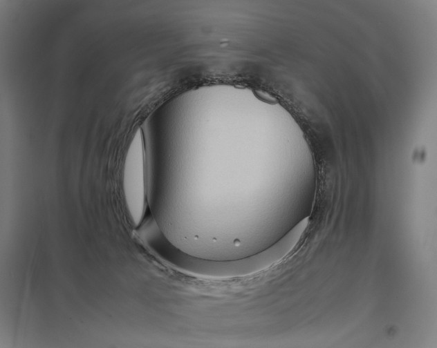 X0000097920033200803281436