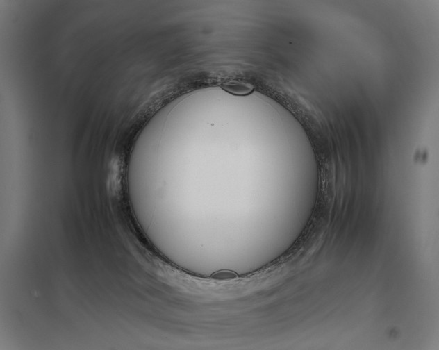 X0000097920038200803281436