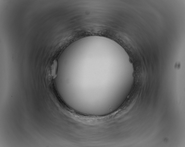 X0000097920040200803281436