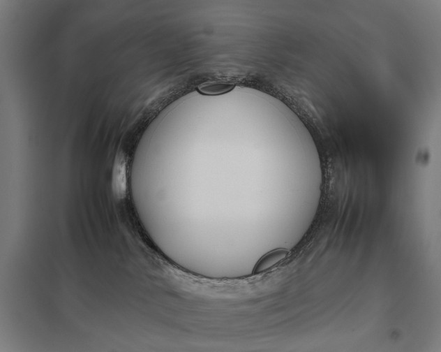 X0000097920042200803281436