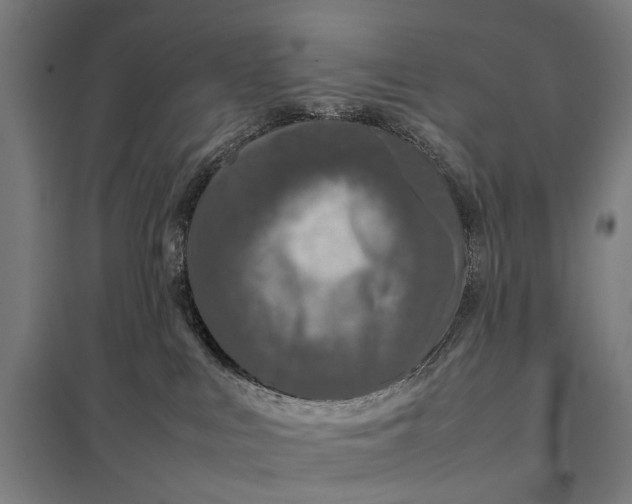 X0000097920043200803281436