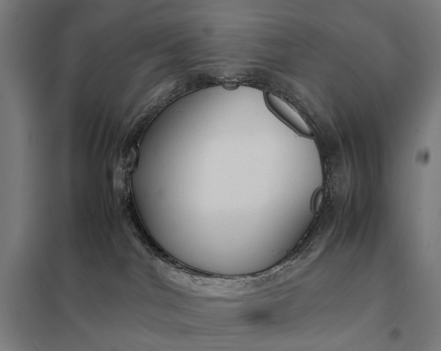 X0000097920044200803281436