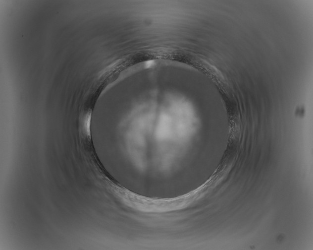 X0000097920047200803281436