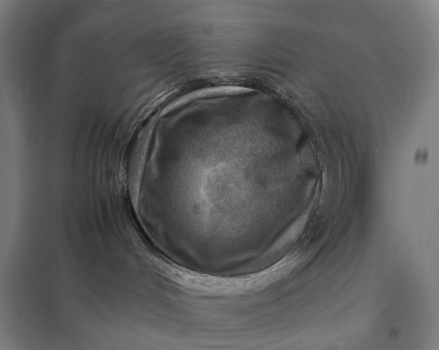 X0000097920048200803281436