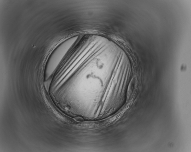 X0000097920049200803281435