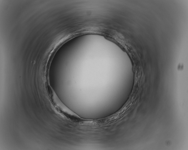 X0000097920050200803281435