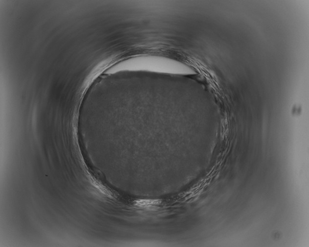 X0000097920051200803281435