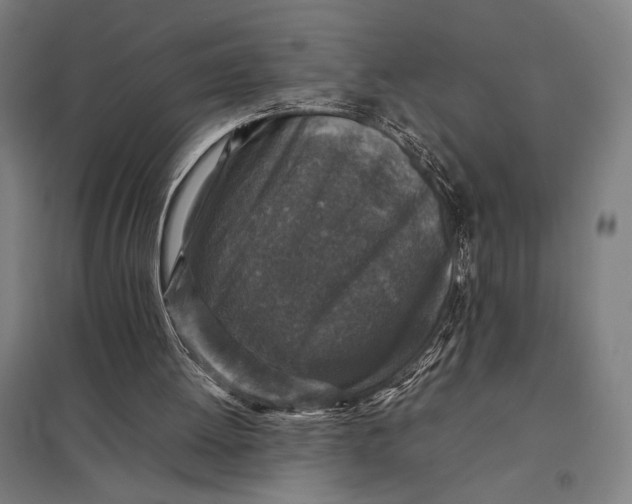 X0000097920052200803281435