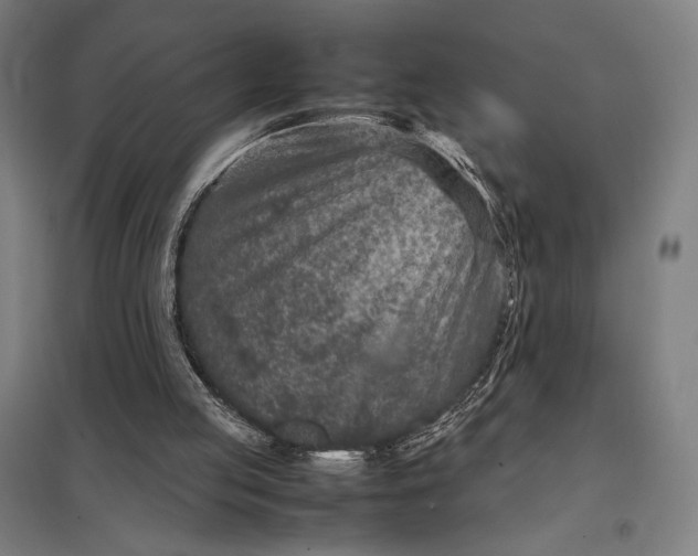 X0000097920053200803281435