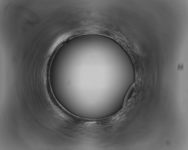 X0000097920054200803281435