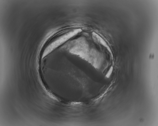 X0000097920055200803281435