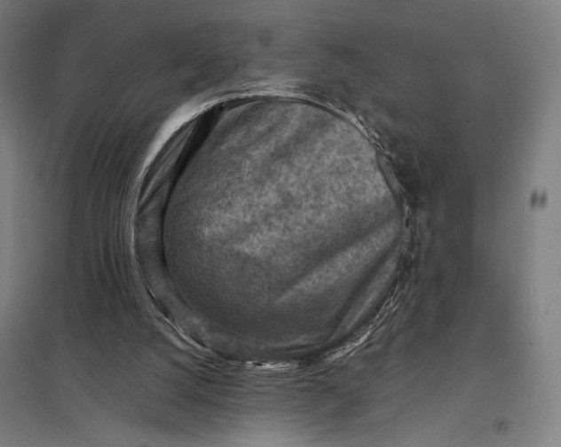 X0000097920056200803281435