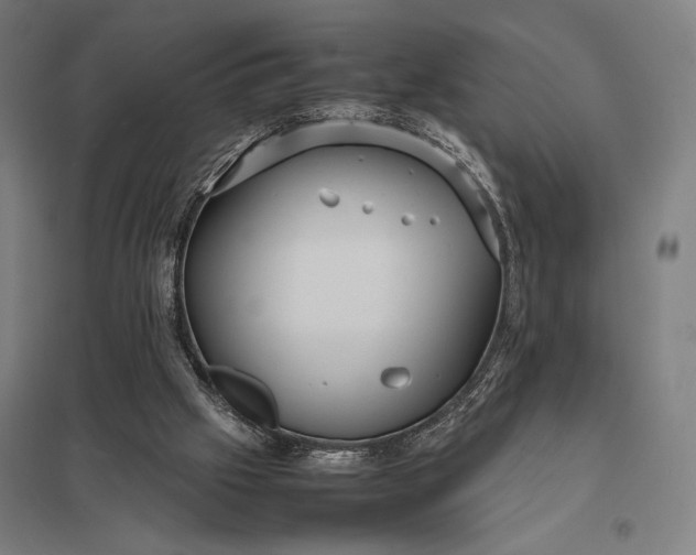 X0000097920057200803281435