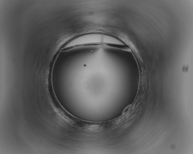 X0000097920058200803281435