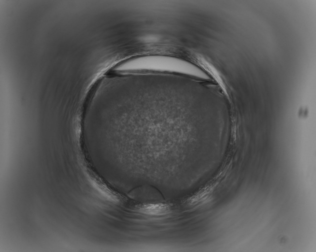 X0000097920059200803281435