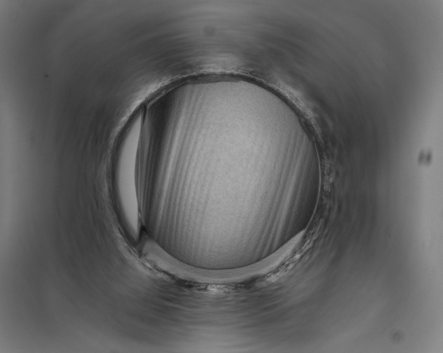 X0000097920060200803281435