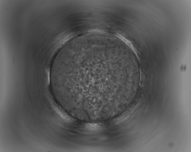 X0000097920061200803281435