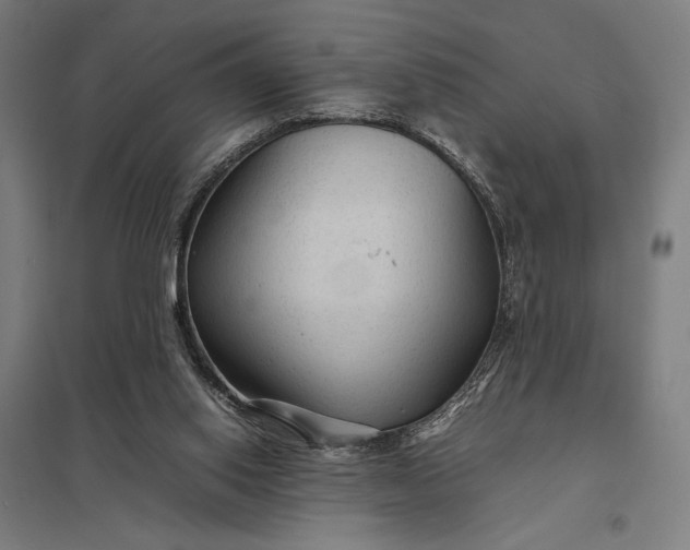 X0000097920062200803281435