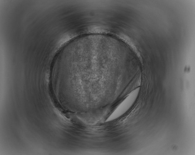 X0000097920063200803281435