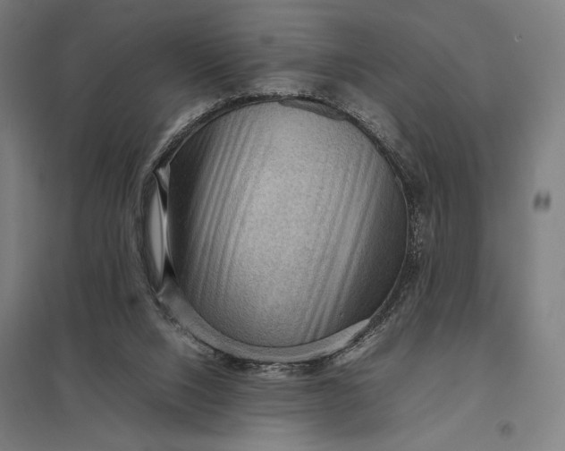 X0000097920064200803281435