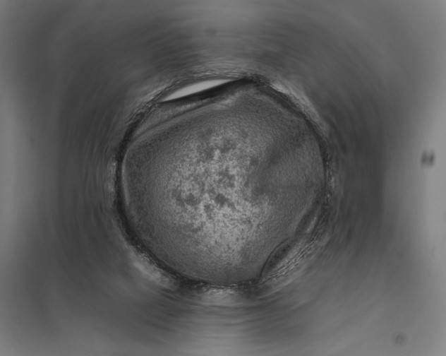 X0000097920066200803281435