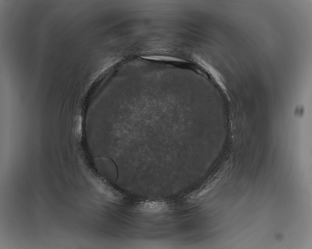 X0000097920067200803281435