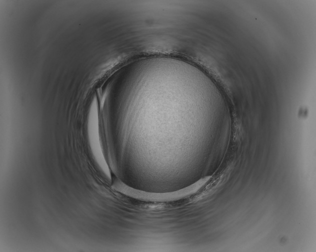 X0000097920068200803281435