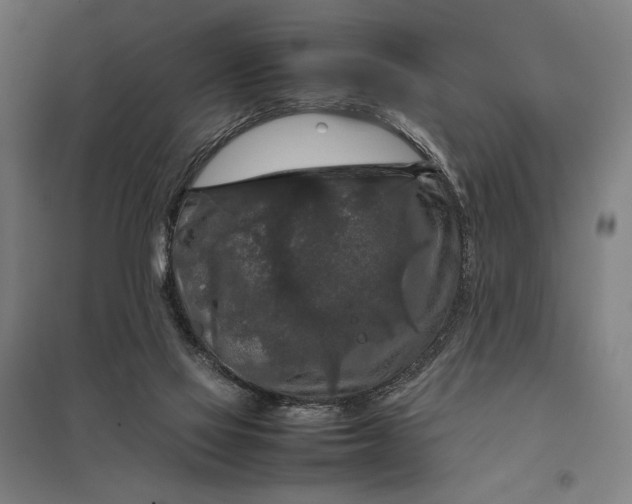 X0000097920069200803281435