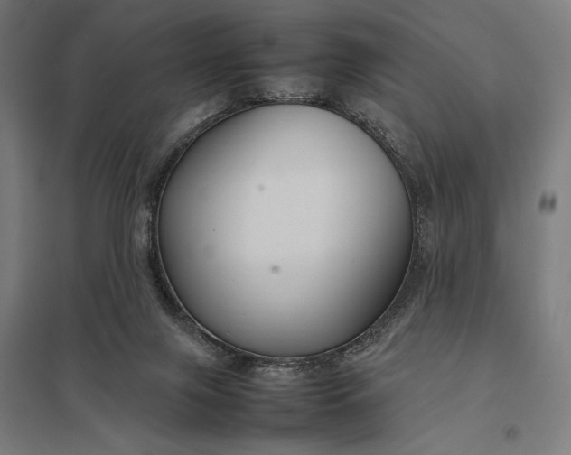 X0000097920071200803281435